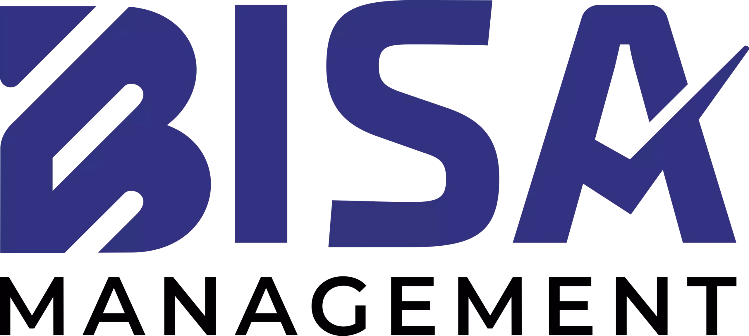 bisa management